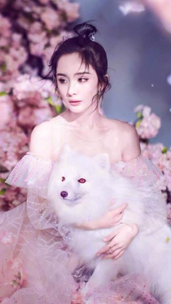 图片 _ 第(5)张