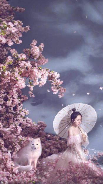 图片 _ 第(6)张