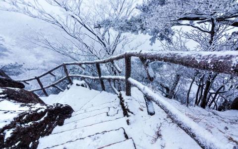 雪景图片 _ 第(7)张