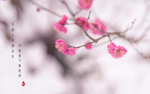 图片 _ 第(2)张