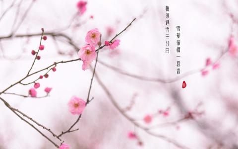 图片 _ 第(4)张