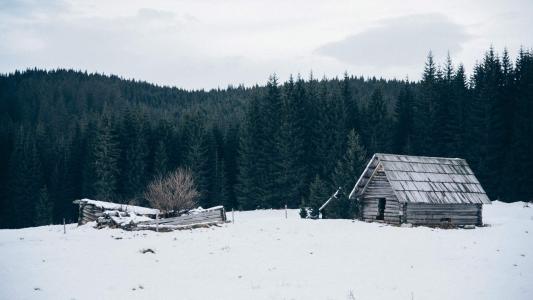 冬日雪景图片 _ 第(8)张