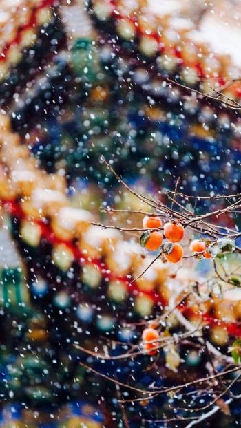 故宫唯美雪景图片手机壁纸第4张