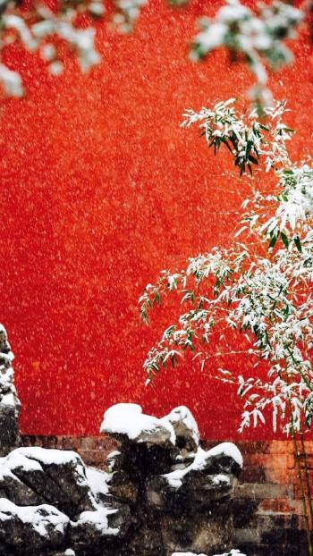 故宫唯美雪景图片手机壁纸第6张