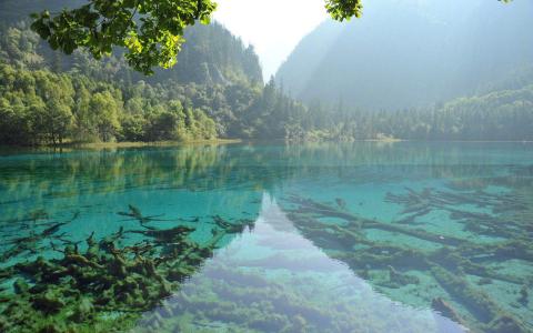 图片 _ 第(6)张