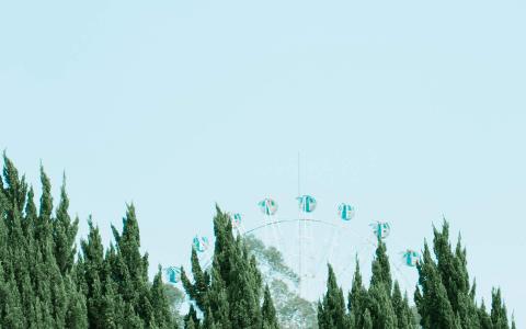 图片 _ 第(11)张
