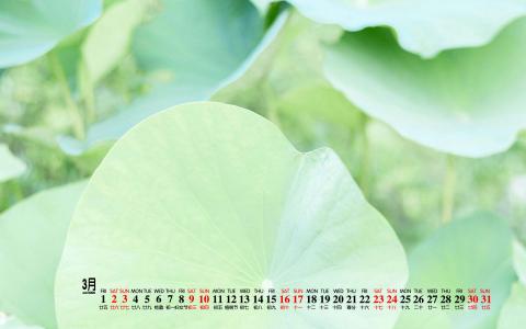图片 _ 第(1)张