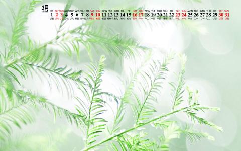 图片 _ 第(8)张