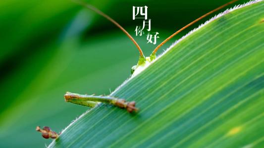 电脑壁纸大全图片 _ 第(2)张