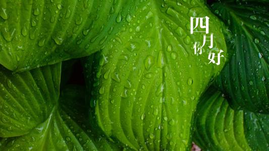 电脑壁纸大全图片 _ 第(9)张