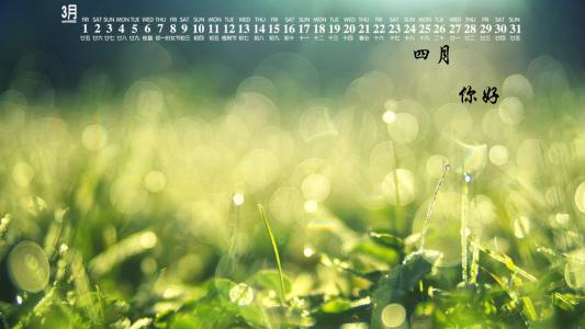 唯美清新绿色植物花卉高清摄影素材图片欣赏第6张