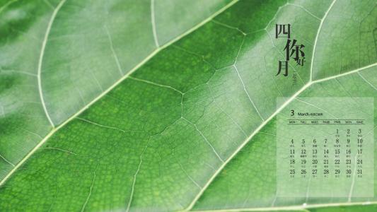 绿色植物图片 _ 第(8)张