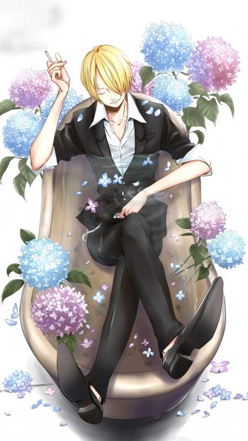 《海贼王》精致卡通插画高清手机壁纸第4张