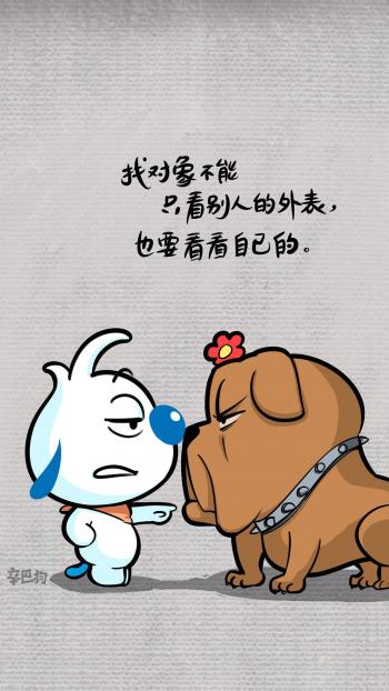 第3张
