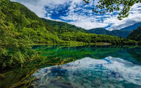 高清美景九寨沟唯美自然风景手机壁纸第4张