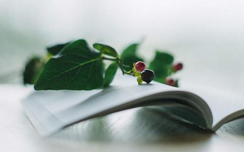 秀美壮观风景图片桌面壁纸第6张