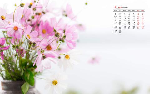 图片 _ 第(9)张