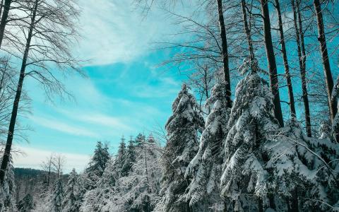 雪景图片 _ 第(4)张