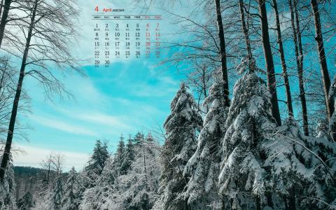 冬日雪景图片 _ 第(4)张