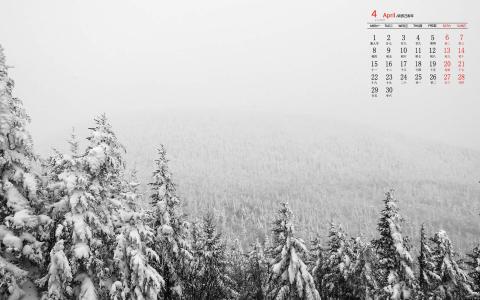 冬日雪景图片 _ 第(5)张