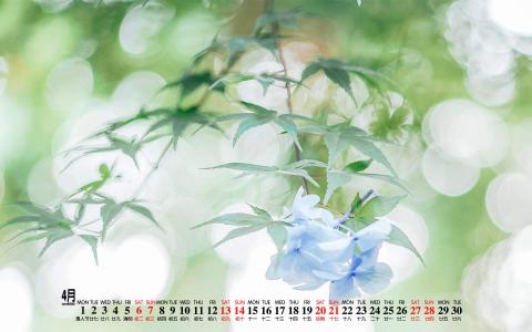 清新桌面图片 _ 第(7)张