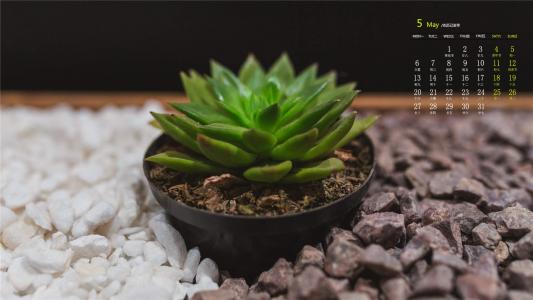 第0张