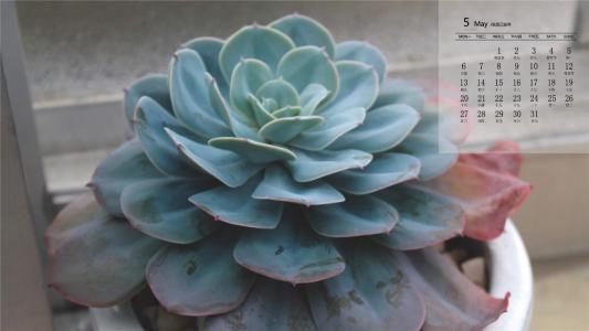 第1张