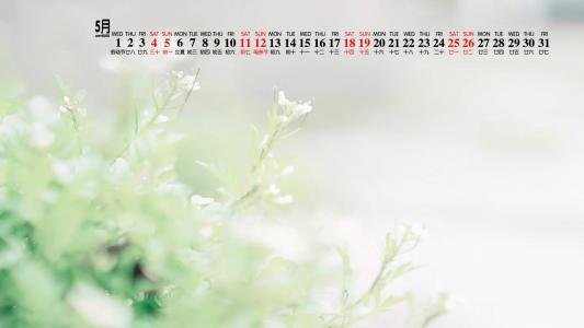 图片 _ 第(7)张