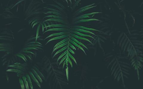 图片 _ 第(1)张