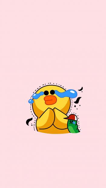 第1张