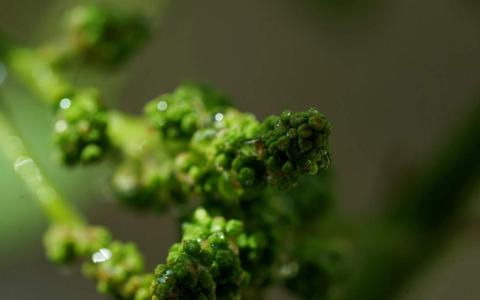 图片 _ 第(3)张