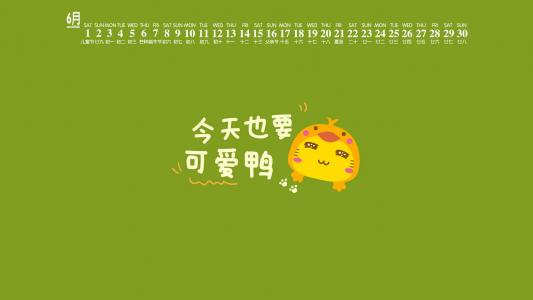 第3张