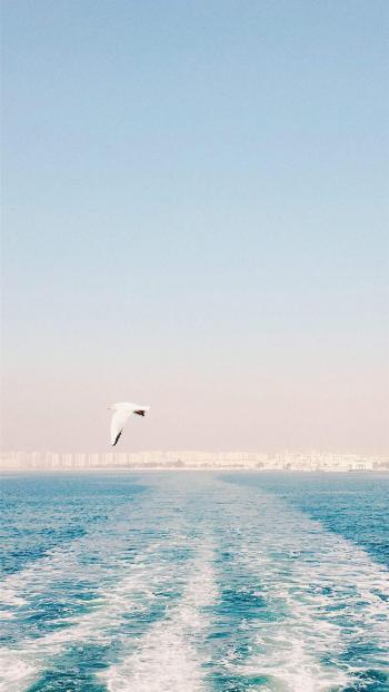 海边风景图片 _ 第(8)张