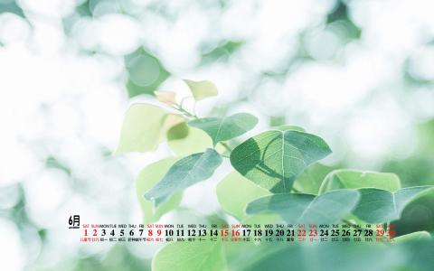 图片 _ 第(2)张