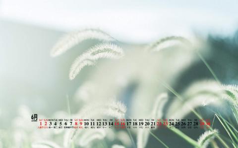 图片 _ 第(3)张