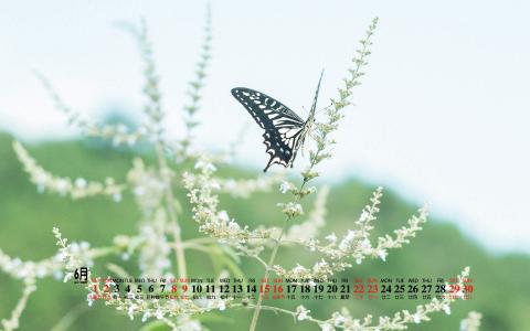 图片 _ 第(6)张