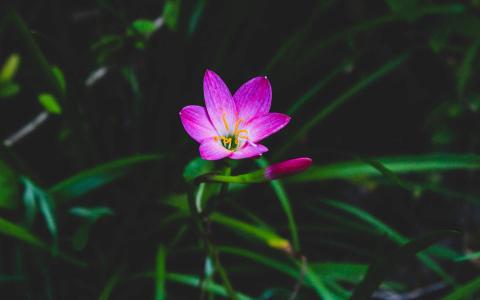电脑壁纸大全图片 _ 第(9)张