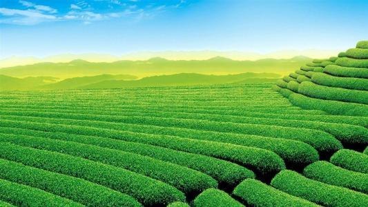 风光图片图片 _ 第(7)张