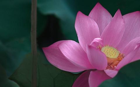 图片 _ 第(4)张
