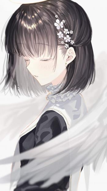第0张