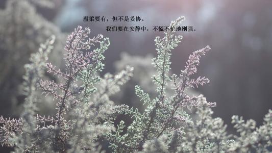 励志桌面图片 _ 第(6)张