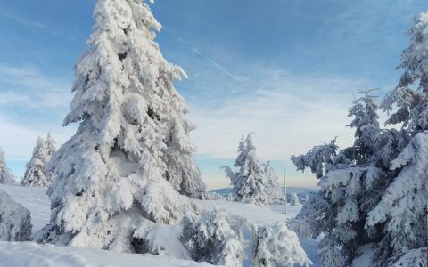 唯美冬日雪景图片手机壁纸第0张