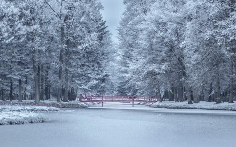 唯美冬日雪景图片手机壁纸第1张