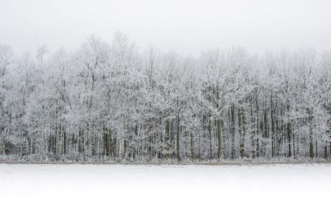 冬日雪景图片 _ 第(8)张