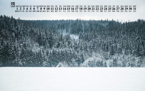 雪景图片 _ 第(7)张