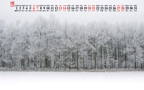 雪景图片 _ 第(8)张