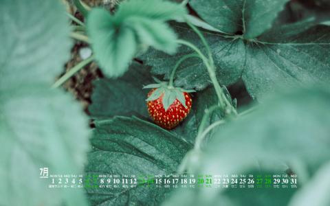 图片 _ 第(6)张