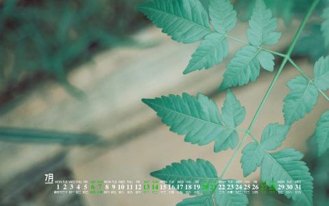 图片 _ 第(7)张