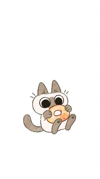 小猫图片 _ 第(8)张