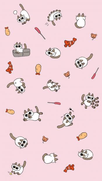 小猫图片 _ 第(9)张